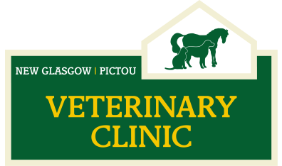 New Glasgow Veterinary Clinic & Pictou Veterinary Clinic-HeaderLogo
